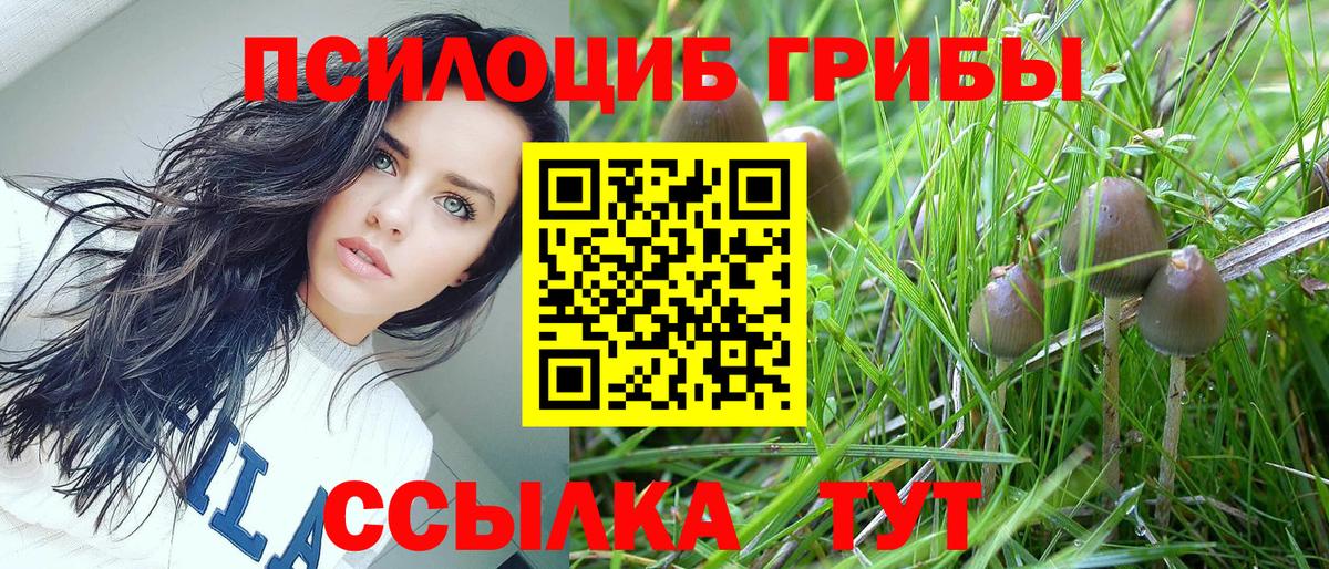 Дивногорск  Псилоцибиновые грибы мицелий  Вход с VPN 